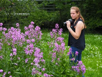 Juliane Probst untersuchte 2019 die Wildbienen auf initialen Blühflächen in der Stadt (Foto: J. Weissmann)
