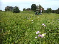 Monitoring of biodiversity in Golf courses - Golf Biodivers