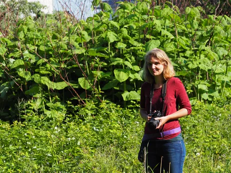 Sandra Dedolf untersucht die Wildbienengemeinschaften auf Brachflächen im Bereich der Stadt Freising (Foto: J. Weissmann)